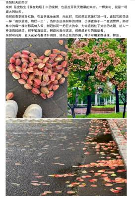 新葡京娱乐城官网