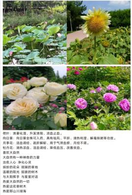 新葡京娱乐城官网