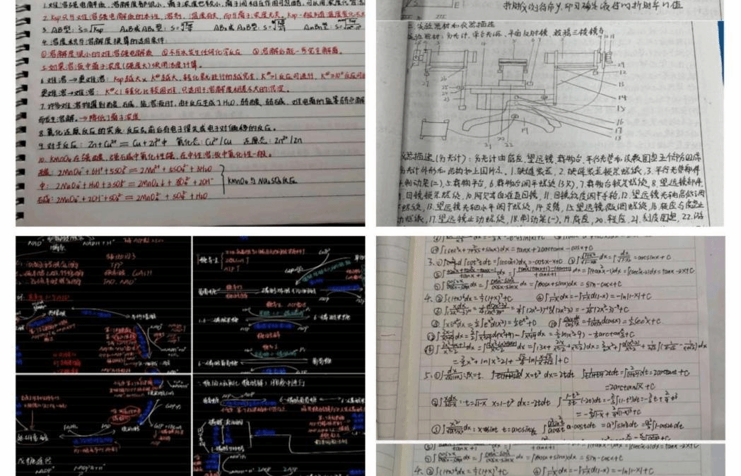 新葡京娱乐城官网